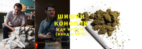 молекула духа Алексеевка