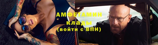 молекула духа Алексеевка